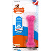 Nylabone Petite Dental Puppy Chew Toy, Pink