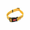 WIGZI DOG WEATHERPROOF ORANGE COLLAR SMALL