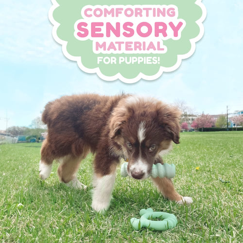 Nylabone Sensory Material Puppy Teething Ring