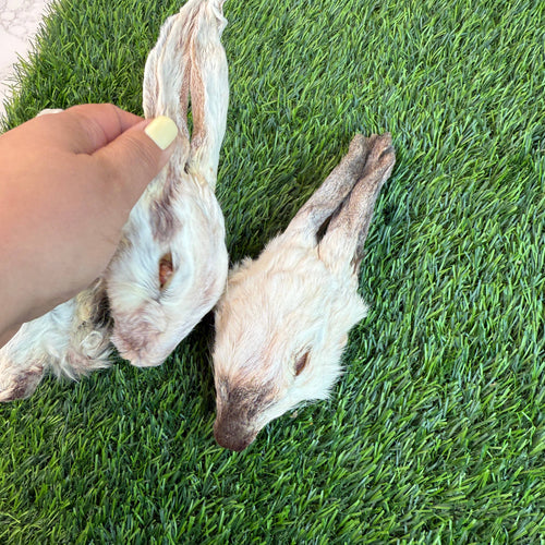 Rabbit Head (Whole) - Dehydrated for Dogs