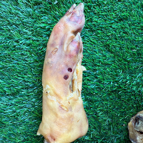 Pork Trotter/Pig Foot - 8-9 in - Long Lasting Chew For Dogs