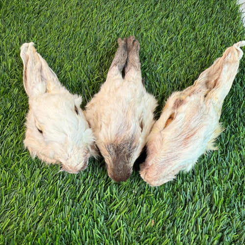 Rabbit Head (Whole) - Dehydrated for Dogs