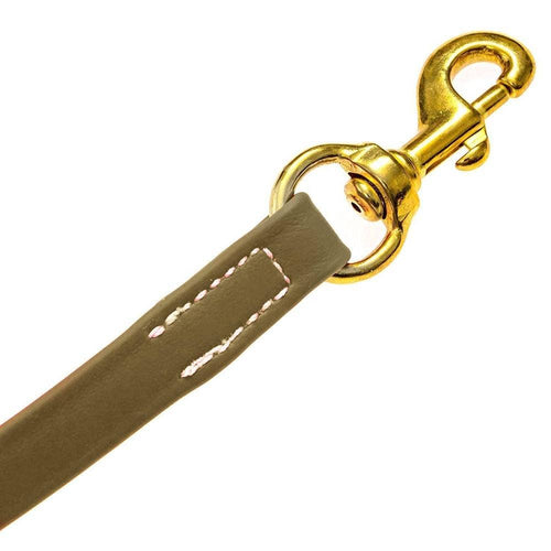 Viper Biothane Long Line 33 ft Lead