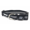 “The Travel Cat” Breakaway Cat Collar