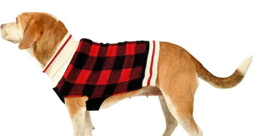 Fashion Pet Plaid Sweater XS