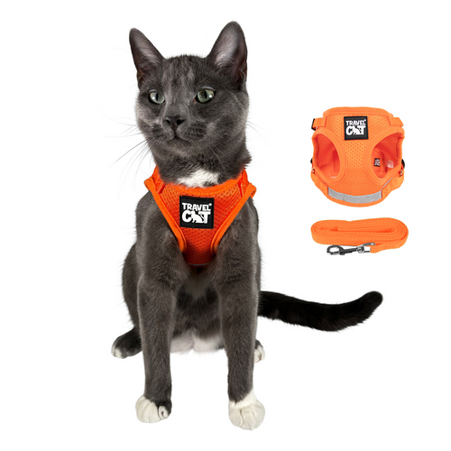 The True Adventurer Reflective Cat & Kitten Harness