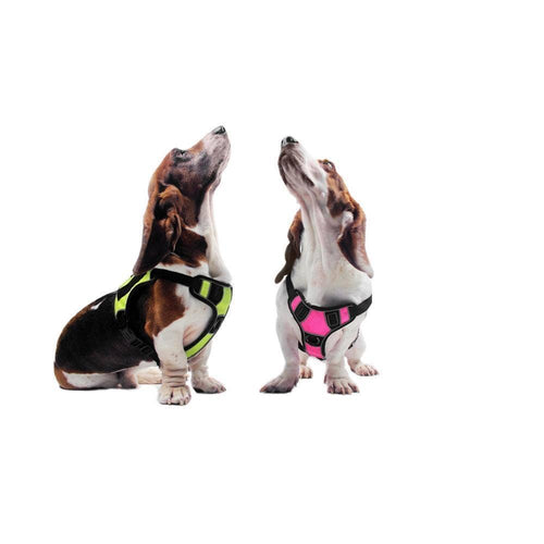 Dogline Quest Multi-Purpose Dog Harness