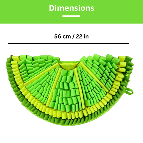 Zesty Lime™ Snuffle Mat | Challenge Level 2