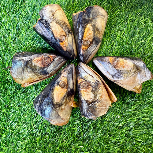 Fish Heads - Freeze Dried Treat/Chew for Dogs