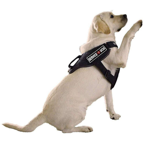 Dogline Service Dog 3D Rubber Patches