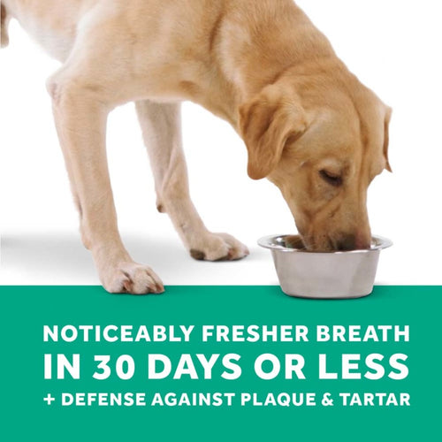 TropiClean Fresh Breath Dental Trial Kit for Dogs