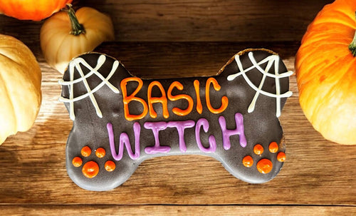 6 inch Basic Witch Halloween dog bone treats