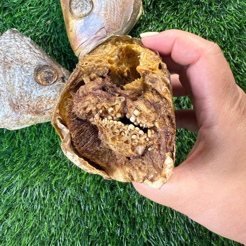 Fish Heads - Freeze Dried Treat/Chew for Dogs