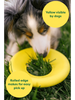 Earth Rated Fly Dog Toy