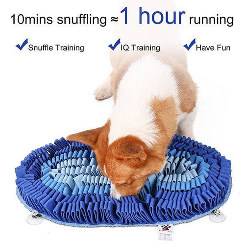 Fire & Ice™ Anti-Bite (Ice) Snuffle Mat | Challenge Level 2