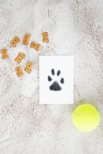Pet Pawprint Clean-Touch Ink Pad, Medium/ Large, Black