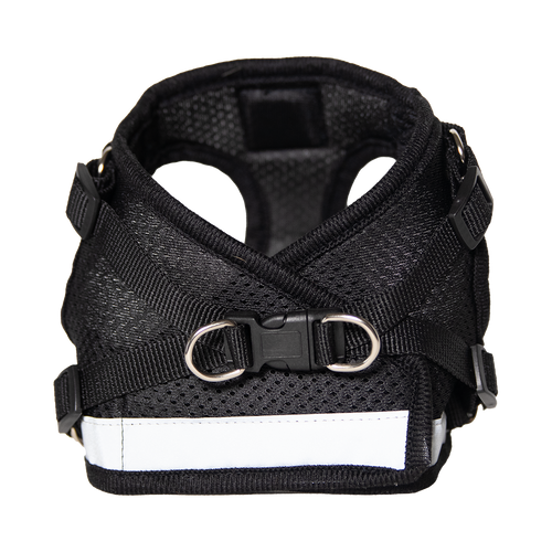 The True Adventurer Reflective Cat & Kitten Harness