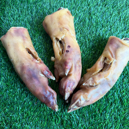 Pork Trotter/Pig Foot - 8-9 in - Long Lasting Chew For Dogs