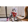 The True Adventurer Reflective Cat & Kitten Harness