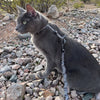 The Day Tripper Adjustable H-Style Cat Harness