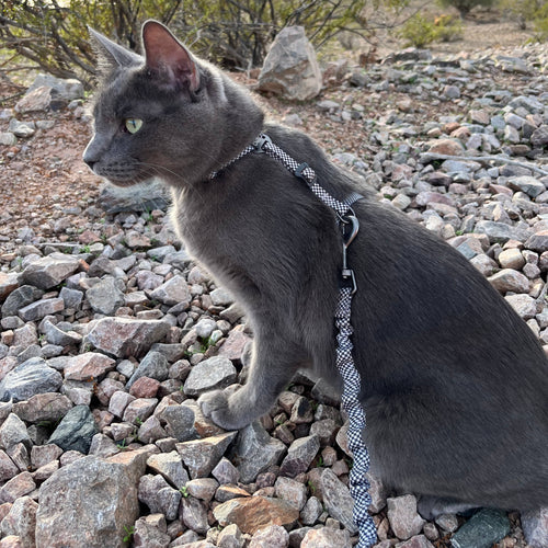 The Day Tripper Adjustable H-Style Cat Harness