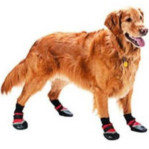 Fashion Pet Extreme All Weather Dog Boots - Large