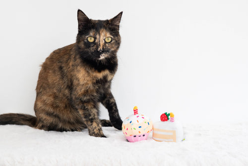 Birthday Cake Cat Toy Set