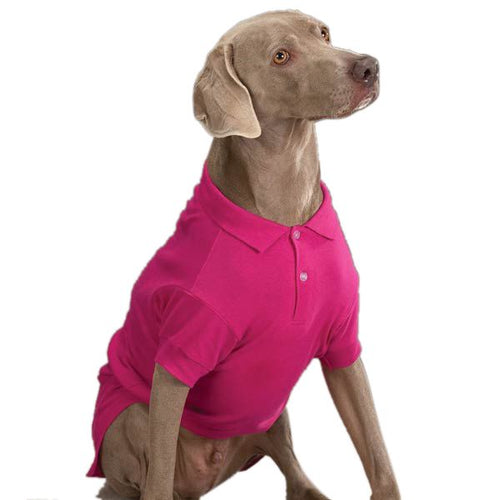 Zack & Zoey Polo Shirts