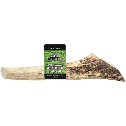 RedBarn Elk Antler whole XXL