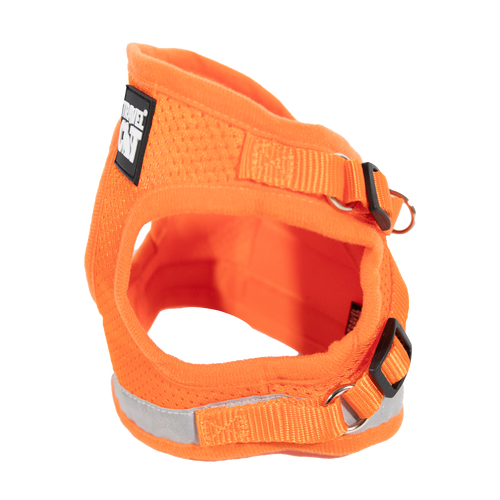The True Adventurer Reflective Cat & Kitten Harness