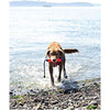 Chuckit! Amphibious bumper Dog Toy - S