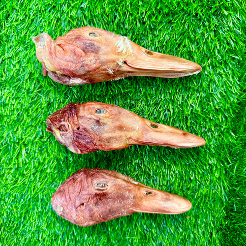 Duck Head- Bag of 5 - Freeze-Dried Treat/Chew for Dogs
