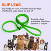 Biothane Slip Lead