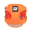 The True Adventurer Reflective Cat & Kitten Harness