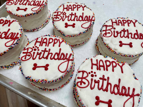 BIG Red‘s Birthday dog cake treat