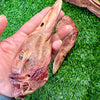 Duck Head- Bag of 5 - Freeze-Dried Treat/Chew for Dogs