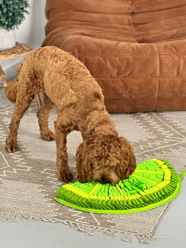 Zesty Lime™ Snuffle Mat | Challenge Level 2