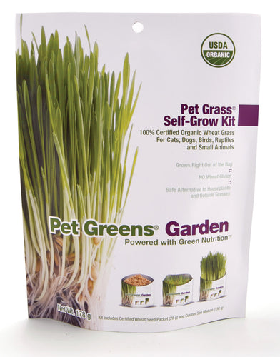 Pet Greens Garden Pet Grass