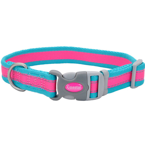Pro Reflective Adjustable Nylon Dog Collar Fuscia, Teal 1ea/3/4 In X 8-12 in