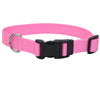 Coastal Adjustable Nylon Dog Collar with Plastic Buckle Bright Pink 1 In X 18-26 in