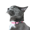 “The Travel Cat” Breakaway Cat Collar
