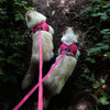 The Purrfectly Pink Iridescent Harness & Leash Set