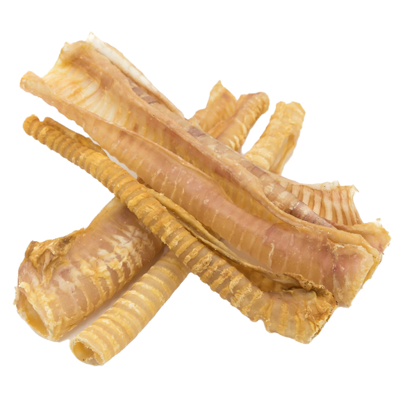 12 Inch Trachea Tube