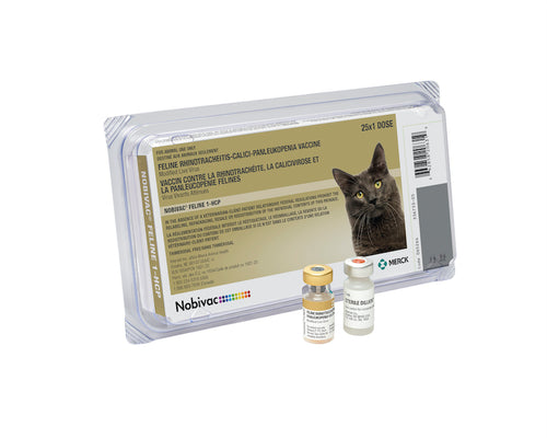 Focus NOBIVAC® FELINE 1-HCP VACCINE with out syringe
