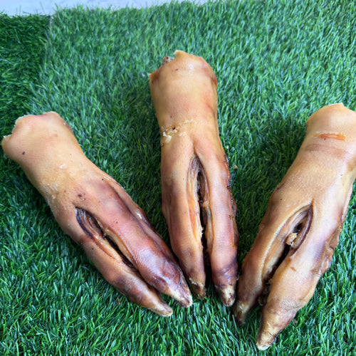 Pork Trotter/Pig Foot - 8-9 in - Long Lasting Chew For Dogs