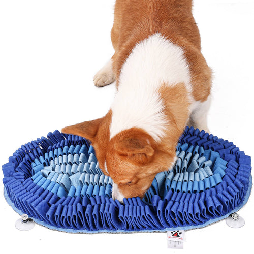 Fire & Ice™ Anti-Bite (Ice) Snuffle Mat | Challenge Level 2