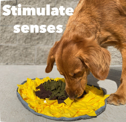 Sunflower Snuffle Mat