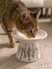 Flat Top Ceramic Cat Bowl - White With Fish Print