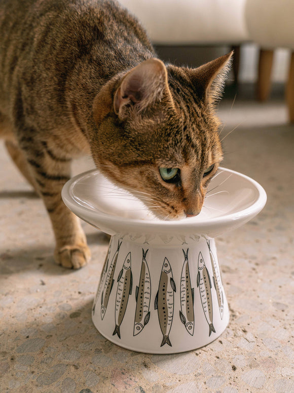 Flat Top Ceramic Cat Bowl - White With Fish Print