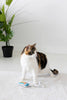 Sardines Cat Toys, Set of 2